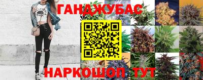 первитин Заводоуковск