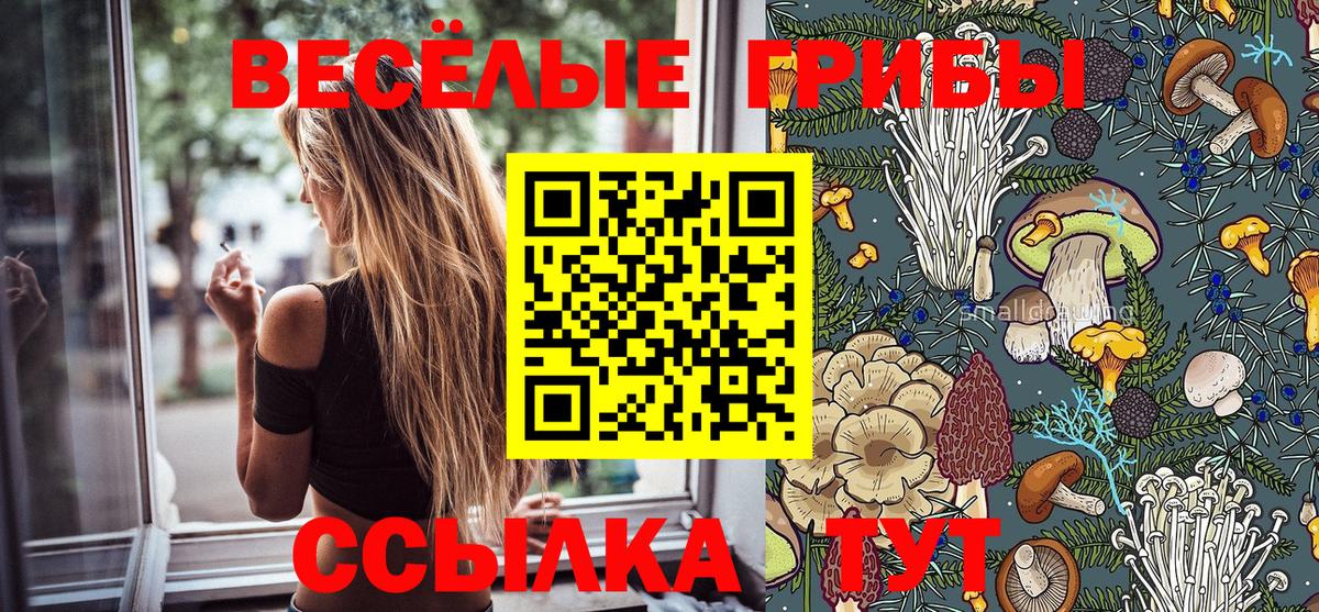 Канабис  ГАШИШ  Alpha PVP СОЛЬ   Вход с VPN  Гашиш  Вейп ТГК  Кыштым  Меф кристаллы 