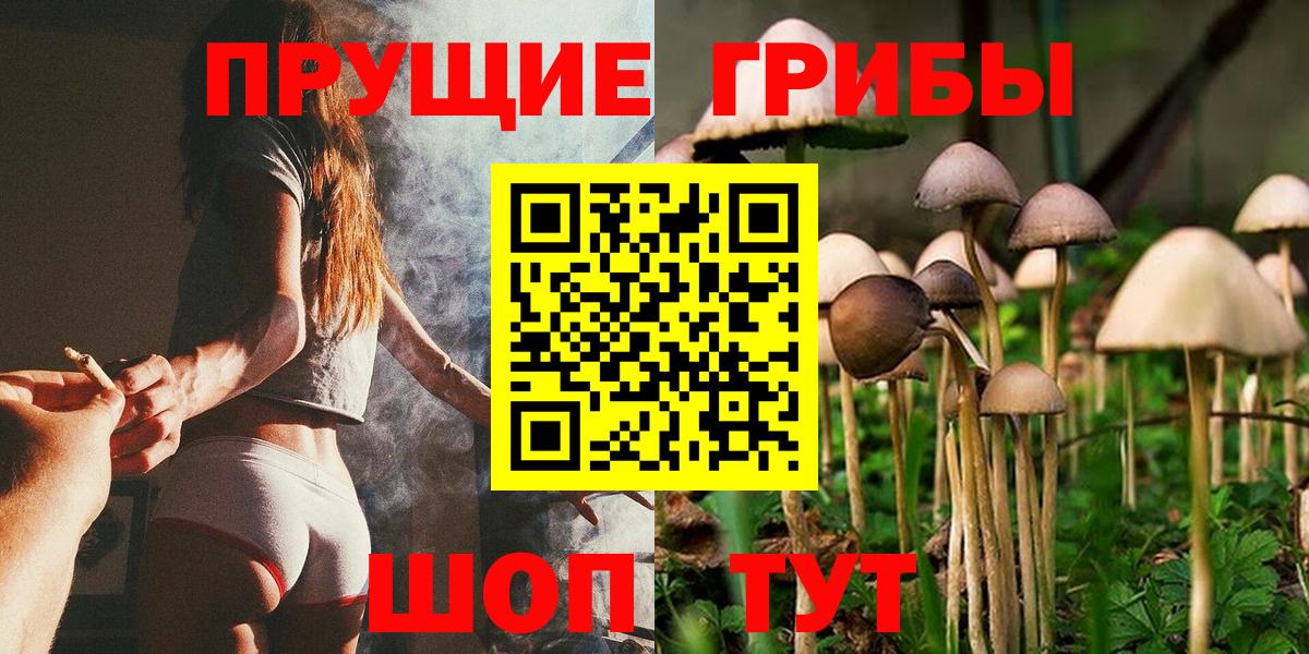 Галлюциногенные грибы Psilocybine cubensis Кыштым