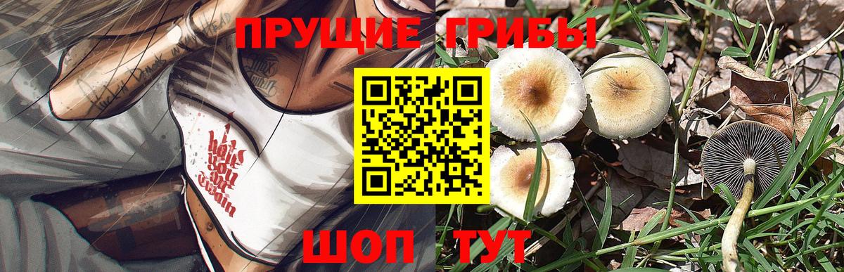 Кыштым  Галлюциногенные грибы мицелий  Галлюциногенные грибы прущие грибы  Вход с VPN 